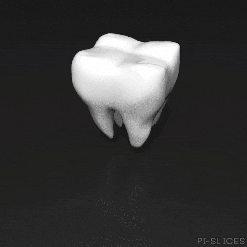 PiSlices GIF Find & Share on GIPHY