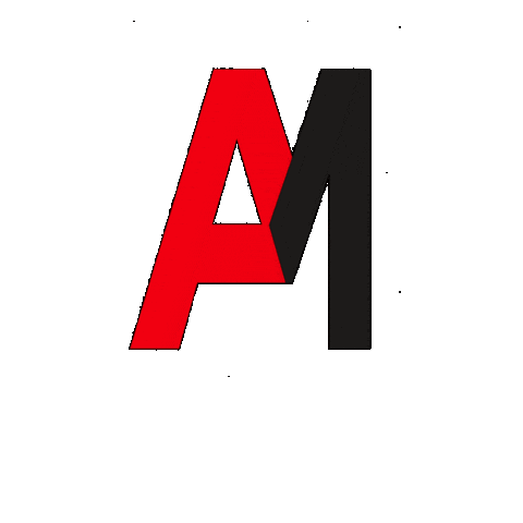 Partner Sticker by NORISKNODRIFT