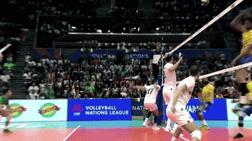 Get Out Wow GIF by Volleyball World