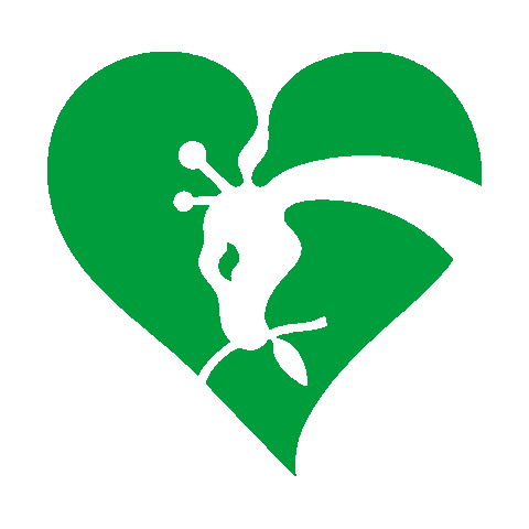 Zoo Giraffe Sticker by Bioparco di Roma