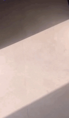 MEAN* Middle East Architecture Network GIF