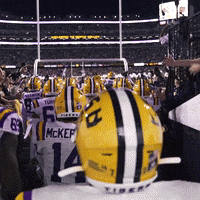 College Football GIF by LSU Tigers