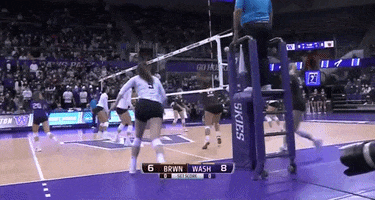 Ncaa Ncaachampionship GIF by Brown Volleyball