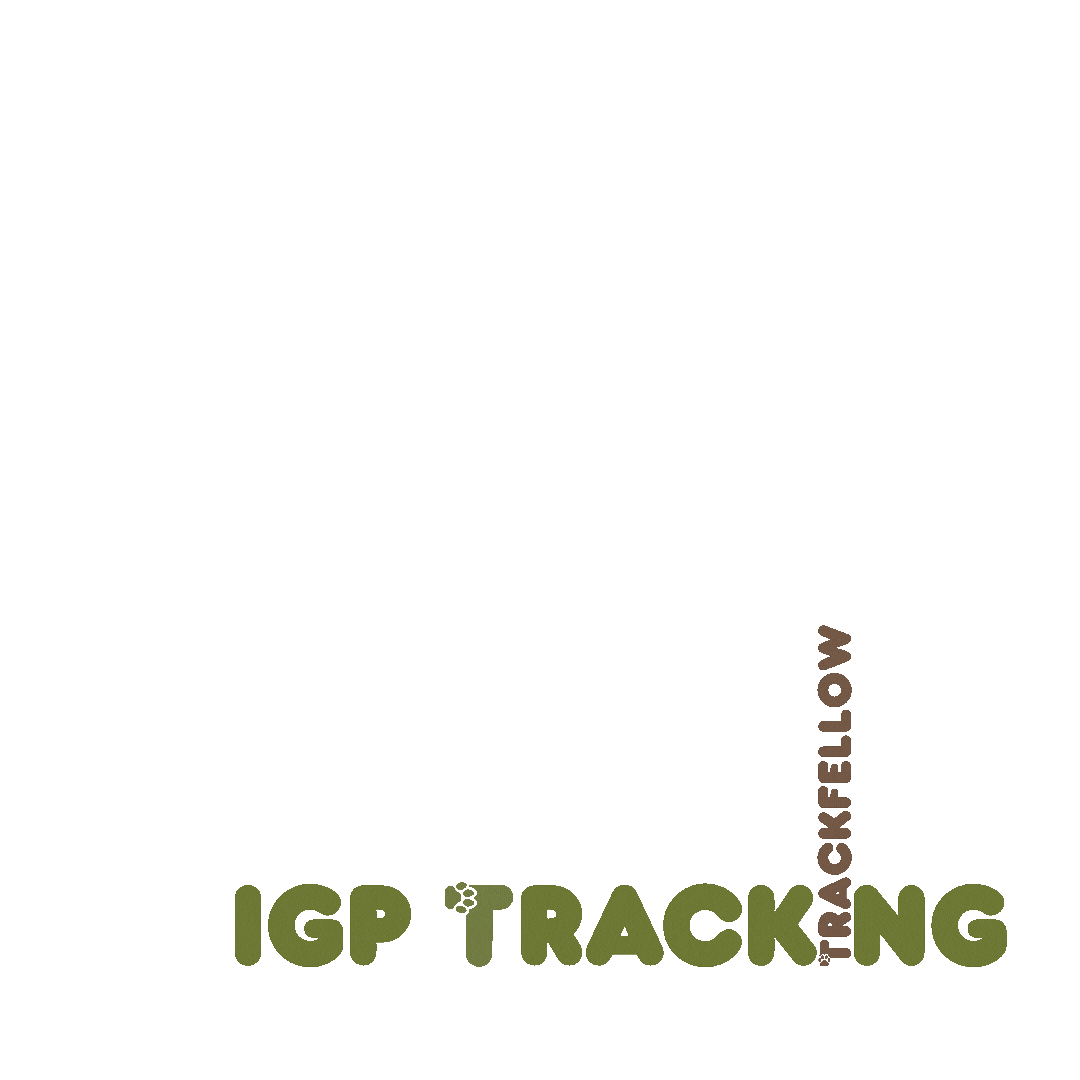 Igp Sticker by Trackfellow