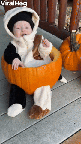 Baby Laughs In Pumpkin Chair GIF by ViralHog