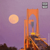 The Moon Space GIF by NowThis