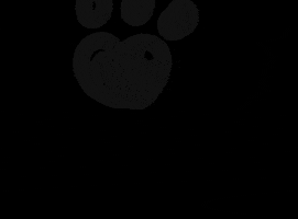Text Dogs GIF by Petland Florida