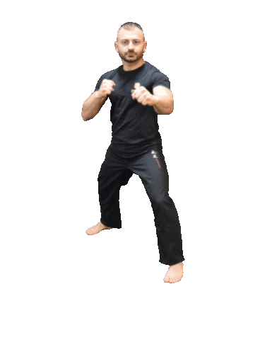 Champion Training Sanda Martial Art Sticker