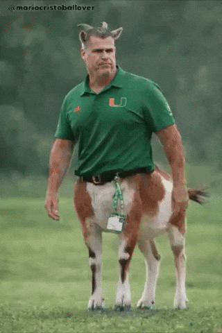 Canes GIF