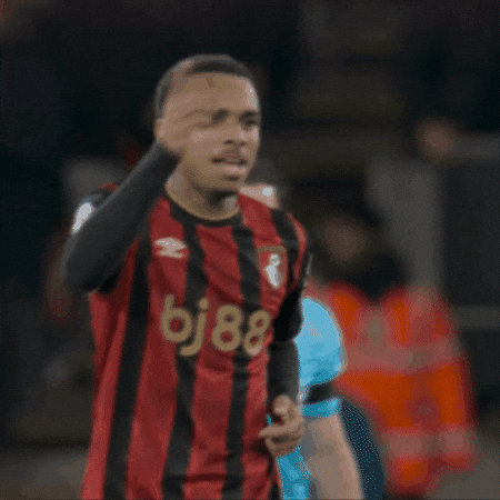Premier League Football GIF by AFC Bournemouth