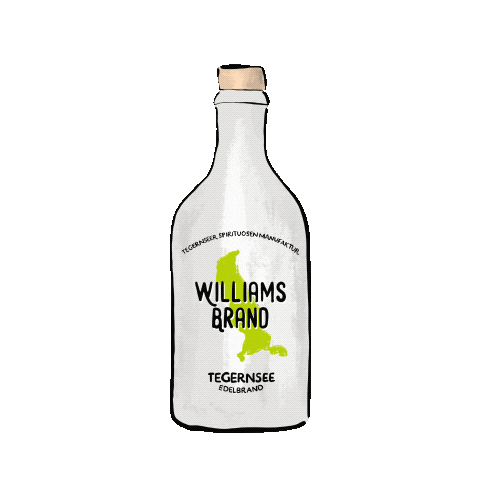 Party Cheers Sticker by GinLago