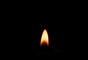 Candle Flame GIF by NEON