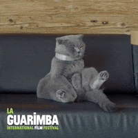 200w.gif