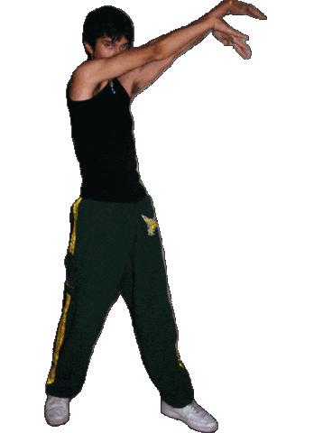 Vol 11 Dancing Sticker