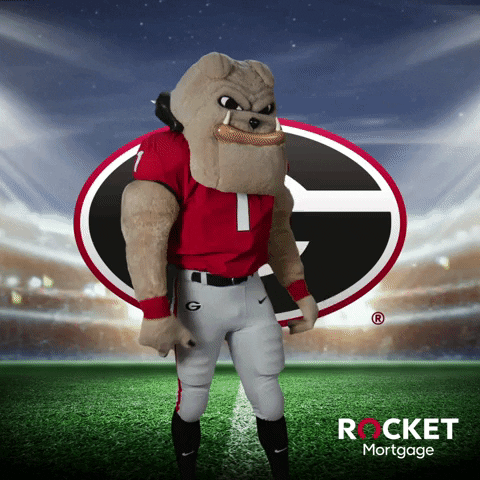 College Football Ncaa GIF by Rocket Mortgage