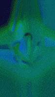 200.gif?cid=fc005b087e95a4eeb7251c80b2a67c25cdf5c09762ec3f27&rid=200.gif&ct=g