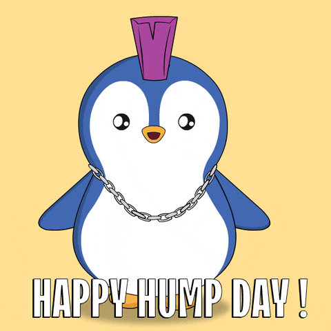 Wednesday Morning Penguin GIF by Pudgy Penguins