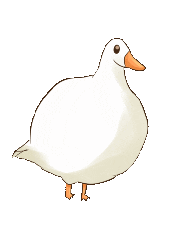 Meme Sticker