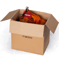 200.gif?cid=fc005b081227327fbc1b1e7e5cbefdacfde29027649c42ee&rid=200.gif&ct=g
