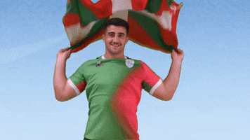 Pays Basque Rugby GIF by Aviron Bayonnais