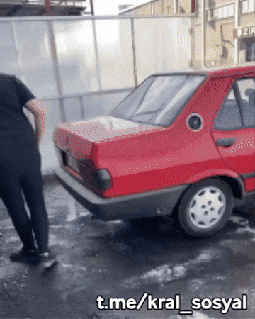 Köpek GIF by Kral Sosyal