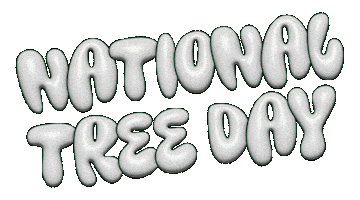 Ntd Sticker by Tree Canada