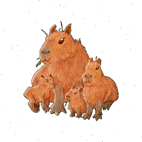 Capybara Sticker