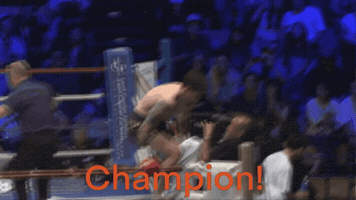Champion Fighter GIF