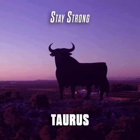 Hi to my fellow taurus out there…