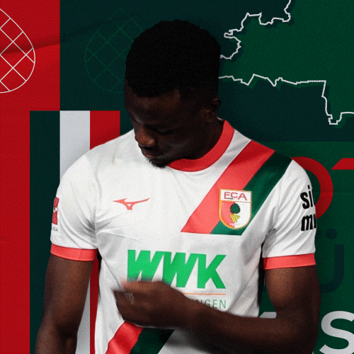 Bundesliga Nigeria GIF by FC Augsburg 1907