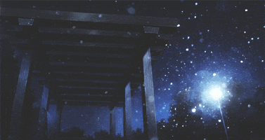 night snowflakes GIF