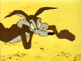 wile e coyote GIF