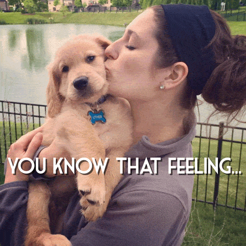 Dog Kissing GIF by Testing 1, 2, 3