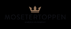 Mosetertoppen Hafjell GIF