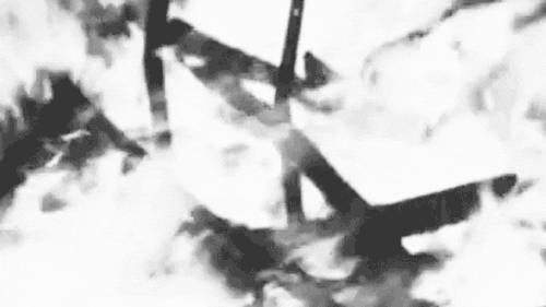 art film GIF by hoppip