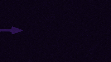 Austria Wien Goat GIF
