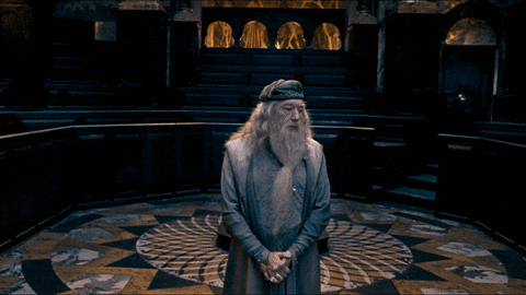 Giphy - Cant Believe Here We Go Again GIF by Fantastic Beasts: The Secrets of Dumbledore