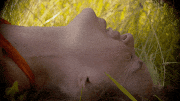 Forests Pain GIF by Zella Day