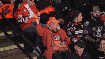 Ice Hockey Fans GIF