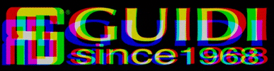 Guidi srl GIF