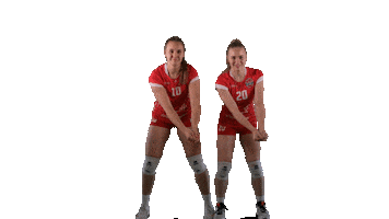 Sport Volleyball Sticker by LP Viesti