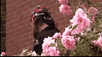 Vote GIF by Jerry Tremblay