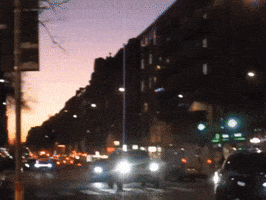 GIF by bmaisca