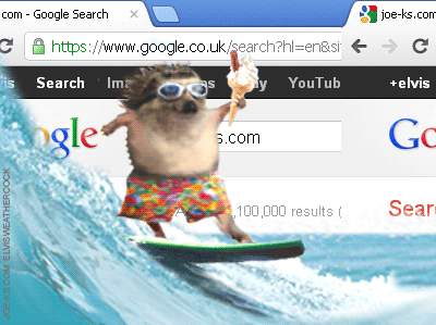  internet surfing web surfing GIF
