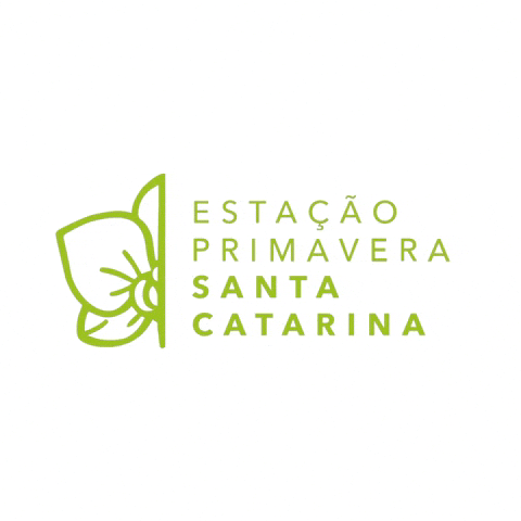 Santa Catarina Turismo GIF by setursc
