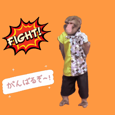Fight Fun GIF