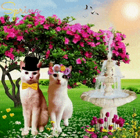 MaxxandRooby cats flowers pretty spring GIF
