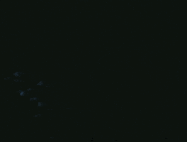 Film Prison GIF