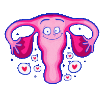 Rachel Lev Sticker