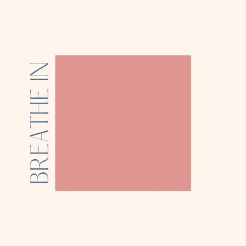 GIF by Smile Makers Collection